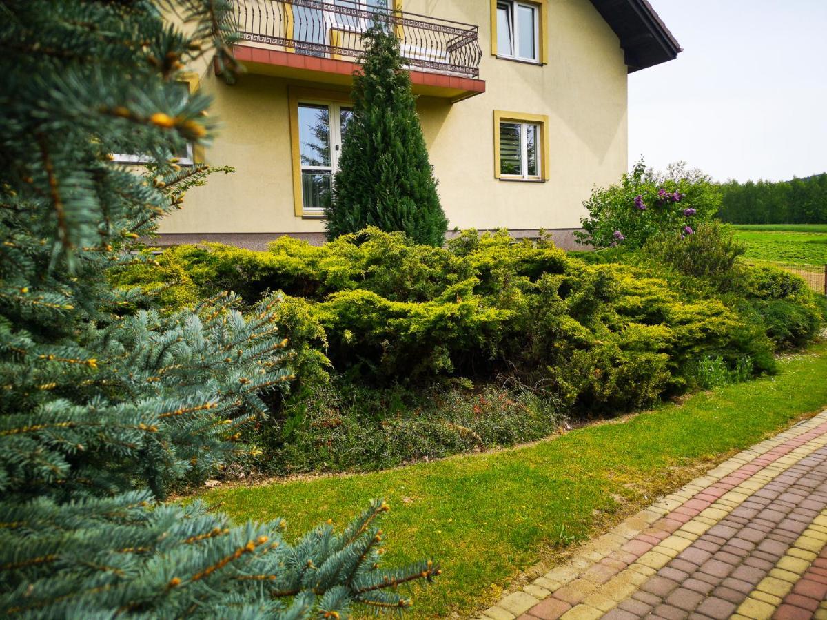 Świerkowy Zakątek Gorno  Zewnętrze zdjęcie